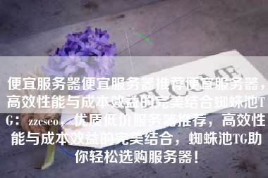 便宜服务器便宜服务器推荐便宜服务器，高效性能与成本效益的完美结合蜘蛛池TG：zzcseo，优质低价服务器推荐，高效性能与成本效益的完美结合，蜘蛛池TG助你轻松选购服务器！