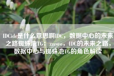 IDCidc是什么意思啊IDC，数据中心的未来之路蜘蛛池TG：zzcseo，IDC的未来之路，数据中心与蜘蛛池TG的角色解读