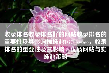 收录排名收录排名好的网站收录排名的重要性及其影响蜘蛛池TG：zzcseo，收录排名的重要性及其影响，优质网站与蜘蛛池策略