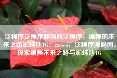 泛程序泛程序源码网泛程序，编程的未来之路蜘蛛池TG：zzcseo，泛程序源码网，探索编程未来之路与蜘蛛池TG