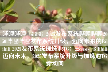 哔哩哔哩_bilibili_2025发布系统哔哩哔哩2050哔哩哔哩发布系统升级，迈向未来的Bilibili 2025发布系统蜘蛛池TG：zzcseo，Bilibili迈向未来，2025发布系统升级与蜘蛛池TG新动向