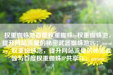 权重蜘蛛池百度权重蜘蛛ip权重蜘蛛池，提升网站流量的秘密武器蜘蛛池TG：zzcseo，权重蜘蛛池，提升网站流量的秘密武器与百度权重蜘蛛IP共享TG，zzcseo