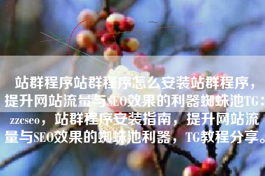 站群程序站群程序怎么安装站群程序，提升网站流量与SEO效果的利器蜘蛛池TG：zzcseo，站群程序安装指南，提升网站流量与SEO效果的蜘蛛池利器，TG教程分享。
