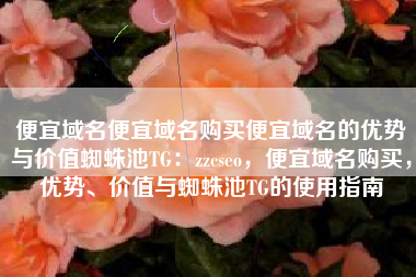 便宜域名便宜域名购买便宜域名的优势与价值蜘蛛池TG：zzcseo，便宜域名购买，优势、价值与蜘蛛池TG的使用指南