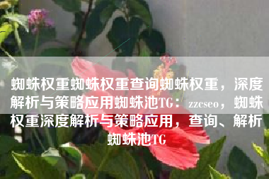 蜘蛛权重蜘蛛权重查询蜘蛛权重，深度解析与策略应用蜘蛛池TG：zzcseo，蜘蛛权重深度解析与策略应用，查询、解析蜘蛛池TG