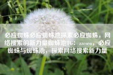必应蜘蛛必应蜘蛛池探索必应蜘蛛，网络搜索的新力量蜘蛛池TG：zzcseo，必应蜘蛛与蜘蛛池，探索网络搜索新力量