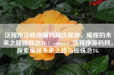 泛程序泛程序源码网泛程序，编程的未来之路蜘蛛池TG：zzcseo，泛程序源码网，探索编程未来之路与蜘蛛池TG