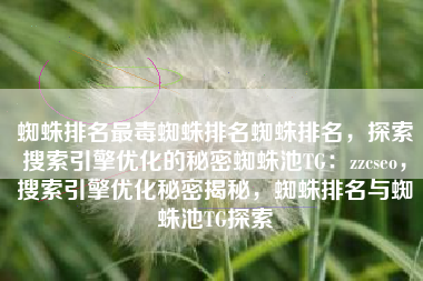蜘蛛排名最毒蜘蛛排名蜘蛛排名，探索搜索引擎优化的秘密蜘蛛池TG：zzcseo，搜索引擎优化秘密揭秘，蜘蛛排名与蜘蛛池TG探索