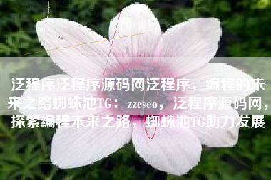 泛程序泛程序源码网泛程序，编程的未来之路蜘蛛池TG：zzcseo，泛程序源码网，探索编程未来之路，蜘蛛池TG助力发展