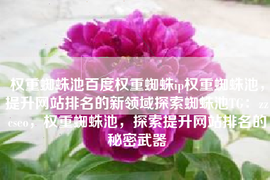 权重蜘蛛池百度权重蜘蛛ip权重蜘蛛池，提升网站排名的新领域探索蜘蛛池TG：zzcseo，权重蜘蛛池，探索提升网站排名的秘密武器