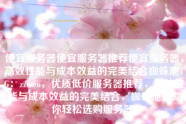 便宜服务器便宜服务器推荐便宜服务器，高效性能与成本效益的完美结合蜘蛛池TG：zzcseo，优质低价服务器推荐，高效性能与成本效益的完美结合，蜘蛛池TG助你轻松选购服务器！