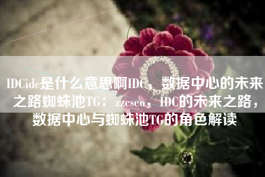 IDCidc是什么意思啊IDC，数据中心的未来之路蜘蛛池TG：zzcseo，IDC的未来之路，数据中心与蜘蛛池TG的角色解读