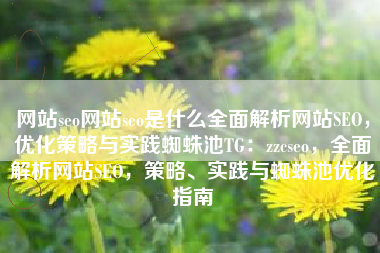 网站seo网站seo是什么全面解析网站SEO，优化策略与实践蜘蛛池TG：zzcseo，全面解析网站SEO，策略、实践与蜘蛛池优化指南