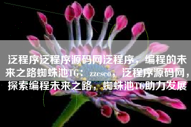 泛程序泛程序源码网泛程序，编程的未来之路蜘蛛池TG：zzcseo，泛程序源码网，探索编程未来之路，蜘蛛池TG助力发展