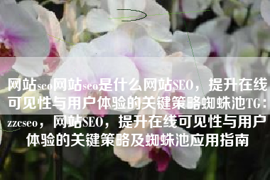 网站seo网站seo是什么网站SEO，提升在线可见性与用户体验的关键策略蜘蛛池TG：zzcseo，网站SEO，提升在线可见性与用户体验的关键策略及蜘蛛池应用指南