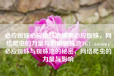 必应蜘蛛必应蜘蛛池探索必应蜘蛛，网络爬虫的力量与影响蜘蛛池TG：zzcseo，必应蜘蛛与蜘蛛池的秘密，网络爬虫的力量与影响