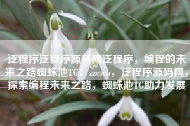 泛程序泛程序源码网泛程序，编程的未来之路蜘蛛池TG：zzcseo，泛程序源码网，探索编程未来之路，蜘蛛池TG助力发展