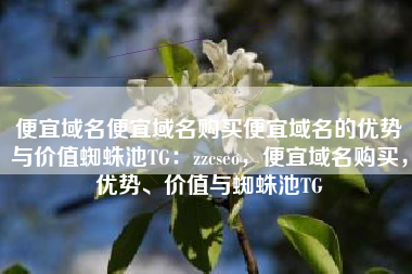便宜域名便宜域名购买便宜域名的优势与价值蜘蛛池TG：zzcseo，便宜域名购买，优势、价值与蜘蛛池TG