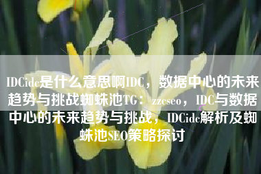 IDCidc是什么意思啊IDC，数据中心的未来趋势与挑战蜘蛛池TG：zzcseo，IDC与数据中心的未来趋势与挑战，IDCidc解析及蜘蛛池SEO策略探讨