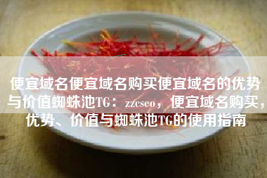 便宜域名便宜域名购买便宜域名的优势与价值蜘蛛池TG：zzcseo，便宜域名购买，优势、价值与蜘蛛池TG的使用指南
