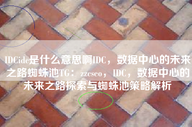 IDCidc是什么意思啊IDC，数据中心的未来之路蜘蛛池TG：zzcseo，IDC，数据中心的未来之路探索与蜘蛛池策略解析