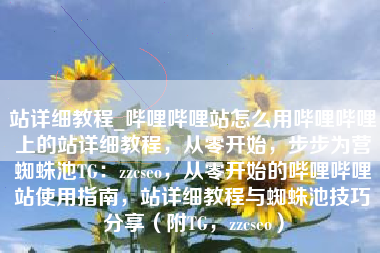 站详细教程_哔哩哔哩站怎么用哔哩哔哩上的站详细教程，从零开始，步步为营蜘蛛池TG：zzcseo，从零开始的哔哩哔哩站使用指南，站详细教程与蜘蛛池技巧分享（附TG，zzcseo）