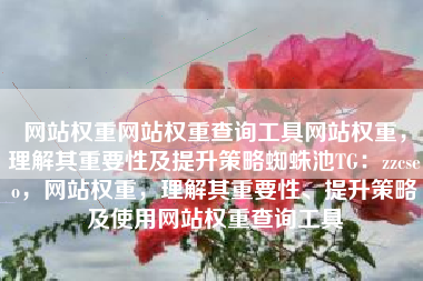 网站权重网站权重查询工具网站权重，理解其重要性及提升策略蜘蛛池TG：zzcseo，网站权重，理解其重要性、提升策略及使用网站权重查询工具