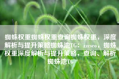蜘蛛权重蜘蛛权重查询蜘蛛权重，深度解析与提升策略蜘蛛池TG：zzcseo，蜘蛛权重深度解析与提升策略，查询、解析蜘蛛池TG