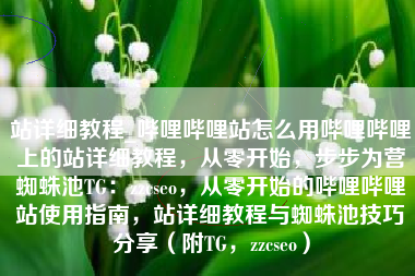 站详细教程_哔哩哔哩站怎么用哔哩哔哩上的站详细教程，从零开始，步步为营蜘蛛池TG：zzcseo，从零开始的哔哩哔哩站使用指南，站详细教程与蜘蛛池技巧分享（附TG，zzcseo）