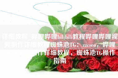 详细教程_哔哩哔哩bilibili教程哔哩哔哩视频制作详细教程蜘蛛池TG：zzcseo，哔哩哔哩视频制作详细教程，蜘蛛池TG操作指南
