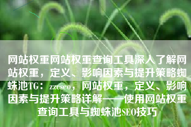 网站权重网站权重查询工具深入了解网站权重，定义、影响因素与提升策略蜘蛛池TG：zzcseo，网站权重，定义、影响因素与提升策略详解——使用网站权重查询工具与蜘蛛池SEO技巧