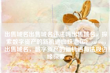 出售域名出售域名违法吗出售域名，探索数字资产的新机遇蜘蛛池TG：zzcseo，出售域名，数字资产的新机遇与法规边缘探索