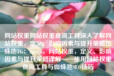 网站权重网站权重查询工具深入了解网站权重，定义、影响因素与提升策略蜘蛛池TG：zzcseo，网站权重，定义、影响因素与提升策略详解——使用网站权重查询工具与蜘蛛池SEO技巧