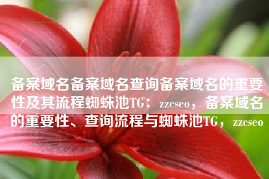 备案域名备案域名查询备案域名的重要性及其流程蜘蛛池TG：zzcseo，备案域名的重要性、查询流程与蜘蛛池TG，zzcseo