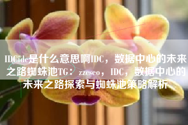 IDCidc是什么意思啊IDC，数据中心的未来之路蜘蛛池TG：zzcseo，IDC，数据中心的未来之路探索与蜘蛛池策略解析