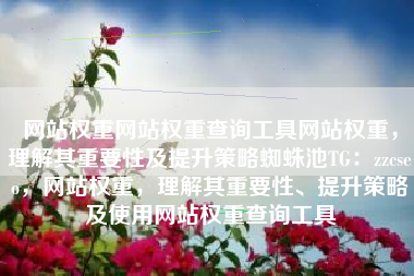 网站权重网站权重查询工具网站权重，理解其重要性及提升策略蜘蛛池TG：zzcseo，网站权重，理解其重要性、提升策略及使用网站权重查询工具
