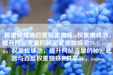 权重蜘蛛池百度权重蜘蛛ip权重蜘蛛池，提升网站流量的秘密武器蜘蛛池TG：zzcseo，权重蜘蛛池，提升网站流量的秘密武器与百度权重蜘蛛IP共享TG，zzcseo