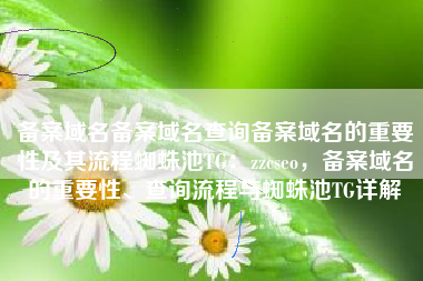 备案域名备案域名查询备案域名的重要性及其流程蜘蛛池TG：zzcseo，备案域名的重要性、查询流程与蜘蛛池TG详解