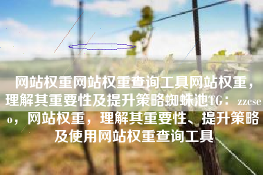 网站权重网站权重查询工具网站权重，理解其重要性及提升策略蜘蛛池TG：zzcseo，网站权重，理解其重要性、提升策略及使用网站权重查询工具