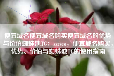 便宜域名便宜域名购买便宜域名的优势与价值蜘蛛池TG：zzcseo，便宜域名购买，优势、价值与蜘蛛池TG的使用指南