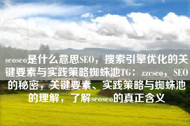 seoseo是什么意思SEO，搜索引擎优化的关键要素与实践策略蜘蛛池TG：zzcseo，SEO的秘密，关键要素、实践策略与蜘蛛池的理解，了解seoseo的真正含义