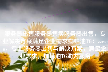 服务器出售服务器售卖服务器出售，专业解决方案满足企业需求蜘蛛池TG：zzcseo，专业服务器出售与解决方案，满足企业需求，蜘蛛池TG助力服务