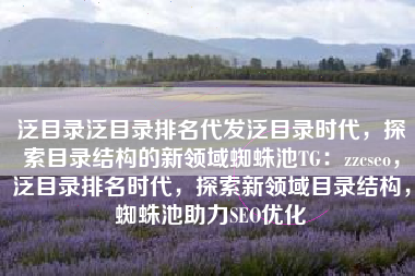 泛目录泛目录排名代发泛目录时代，探索目录结构的新领域蜘蛛池TG：zzcseo，泛目录排名时代，探索新领域目录结构，蜘蛛池助力SEO优化