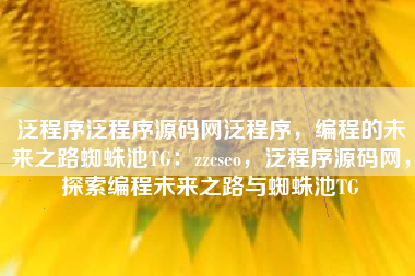 泛程序泛程序源码网泛程序，编程的未来之路蜘蛛池TG：zzcseo，泛程序源码网，探索编程未来之路与蜘蛛池TG