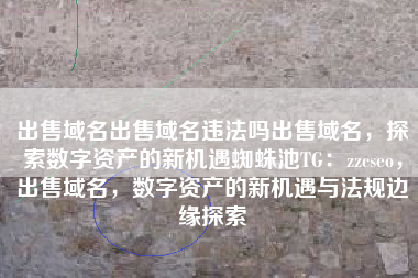 出售域名出售域名违法吗出售域名，探索数字资产的新机遇蜘蛛池TG：zzcseo，出售域名，数字资产的新机遇与法规边缘探索