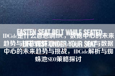 IDCidc是什么意思啊IDC，数据中心的未来趋势与挑战蜘蛛池TG：zzcseo，IDC与数据中心的未来趋势与挑战，IDCidc解析与蜘蛛池SEO策略探讨