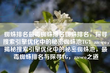 蜘蛛排名最毒蜘蛛排名蜘蛛排名，探寻搜索引擎优化中的秘密蜘蛛池TG：zzcseo，揭秘搜索引擎优化中的秘密蜘蛛池，最毒蜘蛛排名与探寻TG，zzcseo之道