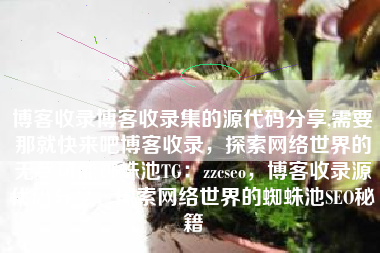 博客收录博客收录集的源代码分享,需要那就快来吧博客收录，探索网络世界的无尽可能蜘蛛池TG：zzcseo，博客收录源代码分享，探索网络世界的蜘蛛池SEO秘籍