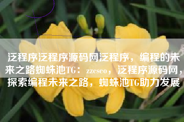 泛程序泛程序源码网泛程序，编程的未来之路蜘蛛池TG：zzcseo，泛程序源码网，探索编程未来之路，蜘蛛池TG助力发展