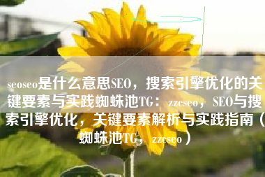 seoseo是什么意思SEO，搜索引擎优化的关键要素与实践蜘蛛池TG：zzcseo，SEO与搜索引擎优化，关键要素解析与实践指南（蜘蛛池TG，zzcseo）